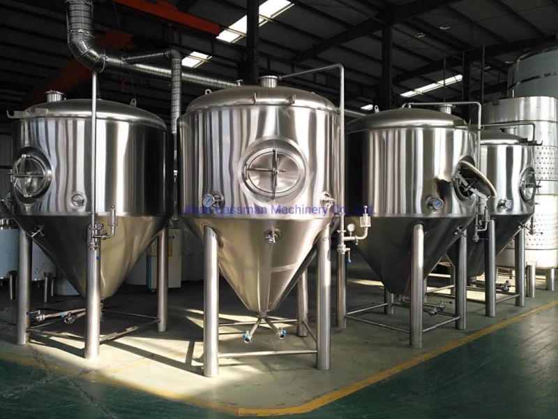 Cassman Stainless Steel 1000L 2000L Conical Beer Fermentation Tank