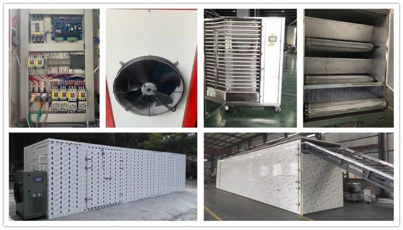 Heat Pump Hot Air Mesh Belt Fish Chilli Mango Fruit Vegetable Drying Dehydrator Machine Dryer