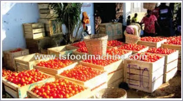 Food Company Use Vegetable Air Bubble Washing Machine and Fruit Washer