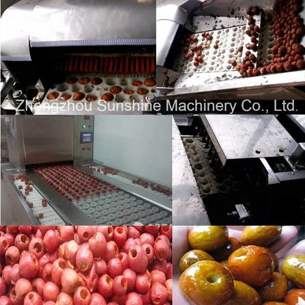 100kg Stainless Steel Date Olive Pitter Machine Olive Pitting Machine
