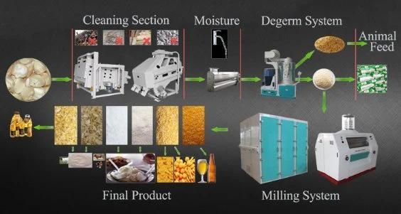 Maize Meal Milling Plant and Corn Flour Mill Maize Flour Mill Machine From Hongdefa Machinery (HDFM240)