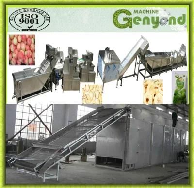 Hot Air Dried Fruit Chips Production Line