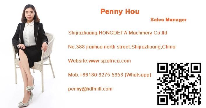 Africamaize Flour Milling Plant Better Sale