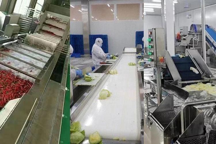 Fruits Cleaning Washer Big Tank Rush Roller Apple Orange Washing Machine