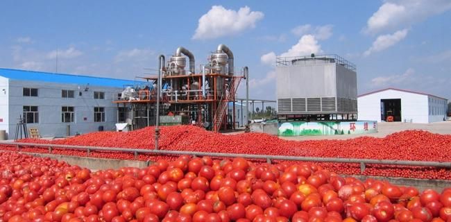 Stainless Steel Automatic Tomato Paste Machine