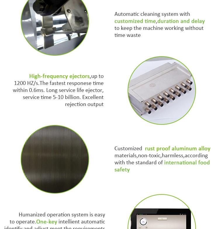 Grape Seed Separating Machine Separation Machine for Grape Seed
