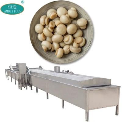 Vegetable and Fruit Blanching Machine Mushroom Blanching Machine