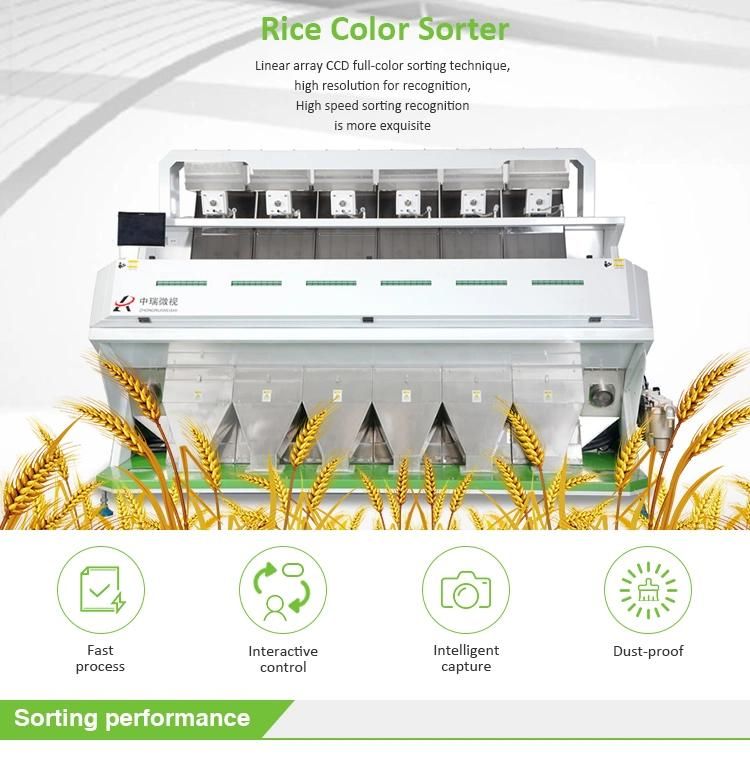 Factory Sale Rice Color Sorting Machine