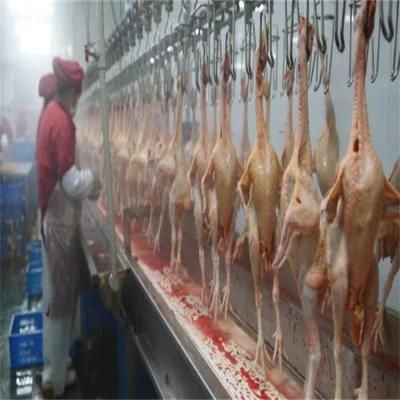 500bph Halal Small Slaughtering House Chicken Slaughter Production Line