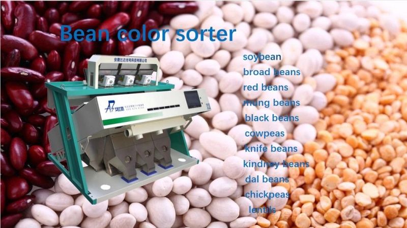 Bean Selector 3 Chutes Bean Color Sorting Machine