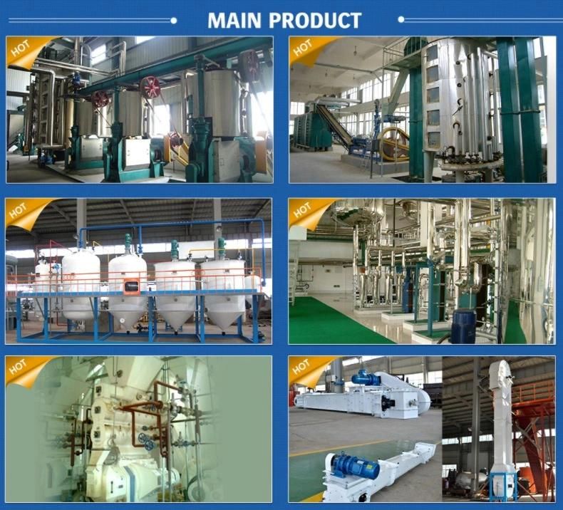 Mini Vegetable Oil Refining Machine, 10tpd Rice Bran/Groundnut Cooking Oil Making Equipment