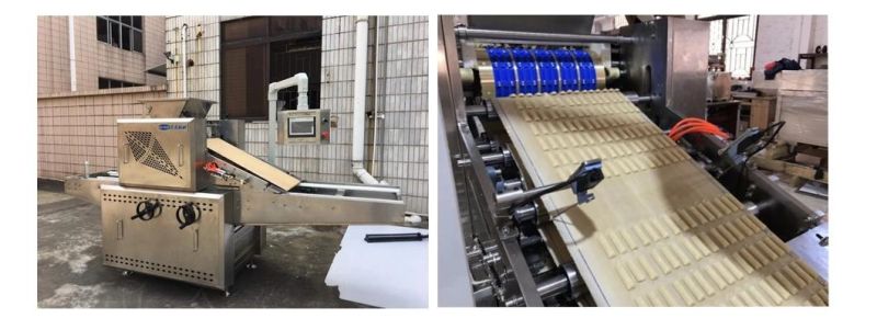 Small Tray Type Rotary Biscuit Making Machine Factory Direct Sale Price