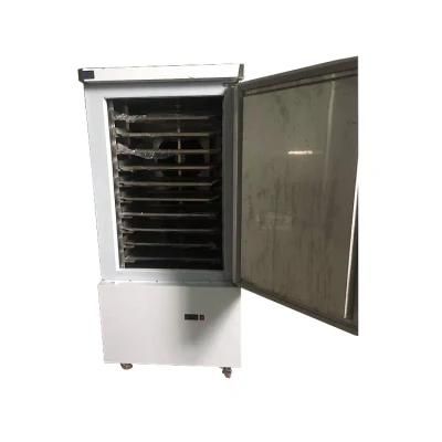 -45 Degrees 10pans Meat Seafood Fish Blast Freezing Machine