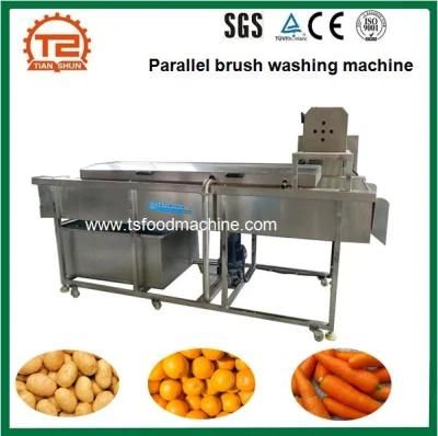 Parallel Brush Wahing Machine for Carrot Cucumber Potato and Fruit Orange