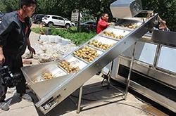 Full Automatic Industrial Potato Chips Making French Fries Machine