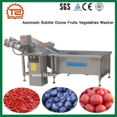 Automatic Bubble Ozone Washer Commercial Fruits Vegetables Washing Machine