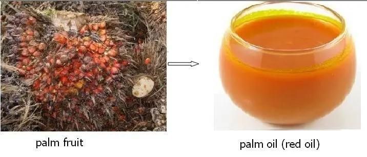 New Type Palm Fruit Oil Press