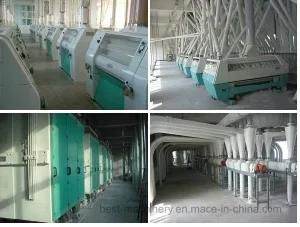 Automatic Complete 100 Ton Wheat Flour Mill on Promotion