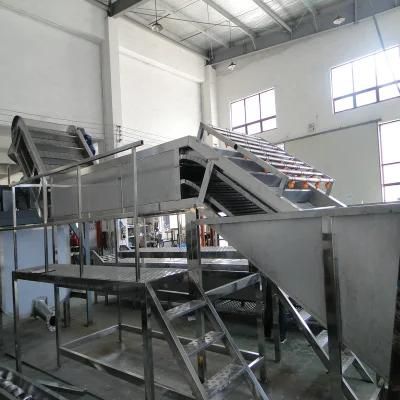 Big Capacity Aloe Puree Processing Production Line Machine
