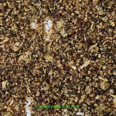 Canola Seed Dehulling Line