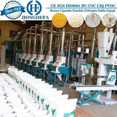 Complete Set Maize Grits Processing Machinery for Africa