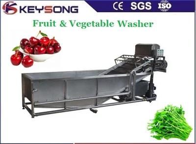 Professional Food Processing Machinery Vegetable Washing Machine