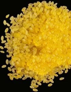 Golden Rice Equipment