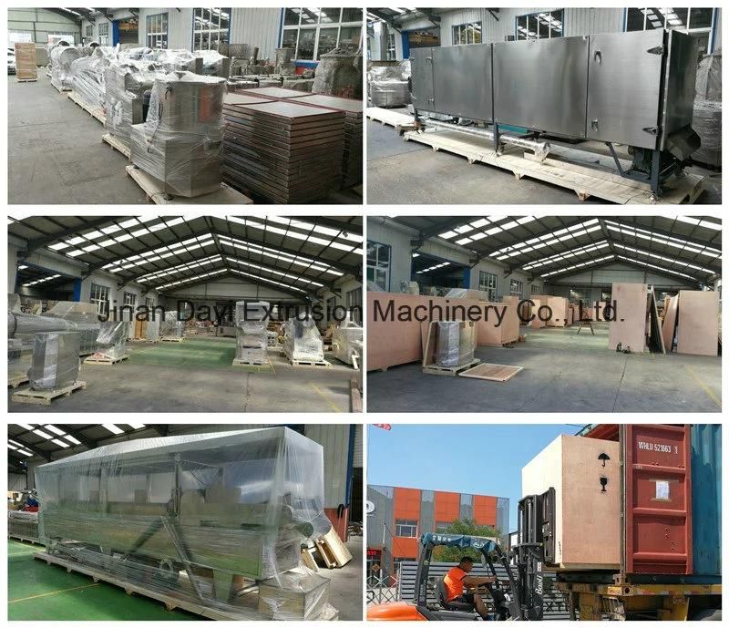 Jinan Dayi Double Screw Snacks Panko Bread Crumbs Machine Production Line