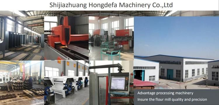 50ton Per Day Roller Mill Degerminator Maize Milling Machine