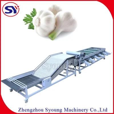 Vegetable Sorting Processing Machine Garlic Peanut Washing Grading Selecting Machine