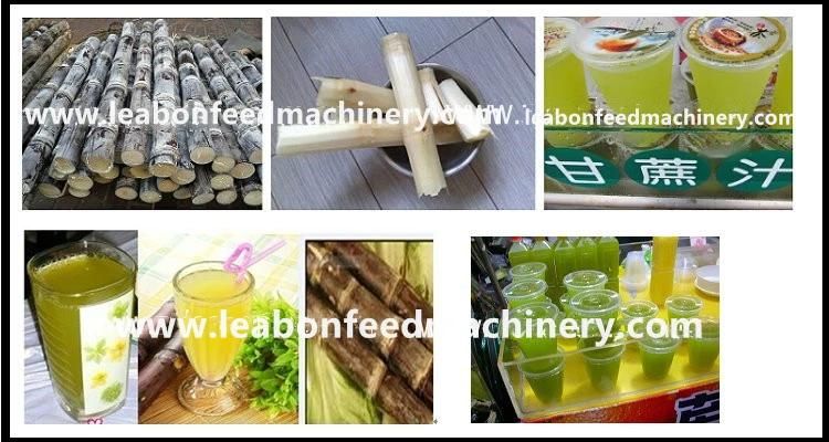 Mini 500kg/ H Stainless Steel Tomato/Fruit/Vegetable Juicer Machine Commercial Juicers for Sale