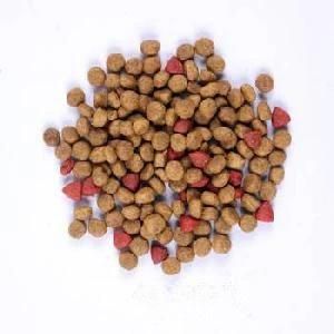 Hot Sales Dog/Pet Food Processing Line-Twin -Screw Extruder Food