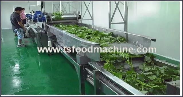 Vegetable Processing Machine and Vegetable Drain Machine