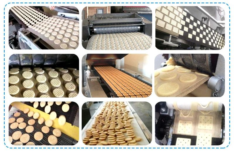 Automatic Cookies Cutter Biscuit Making Machine Price Industry Cookie Depositor Production Line