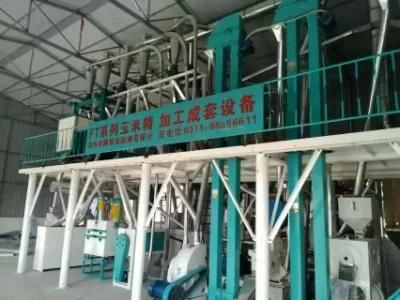 Professional 50t Maize Processing Machinery Maize Milling Plant Flour