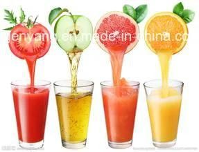 Shanghai Complete Mango Juice Processing Line