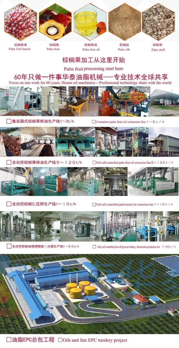 China Palm Fruit Palm Kernel Oil Pressing Extraction Processing Mill Plant Machine