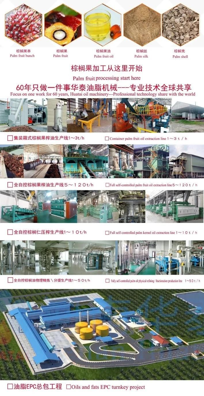 China Palm Fruit Palm Kernel Oil Pressing Extraction Processing Mill Plant Machine