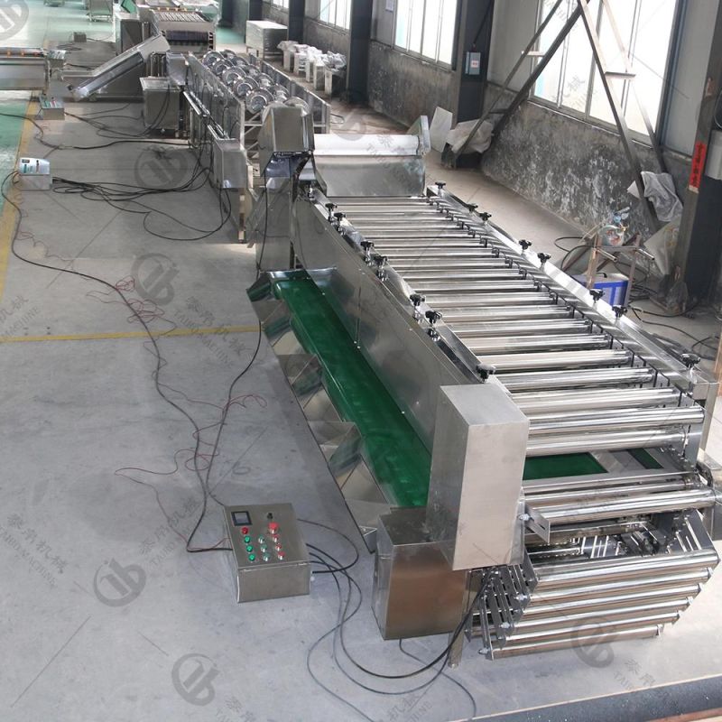 Industrial Root Vegetable Washing Waxing Drying Size Grading Line