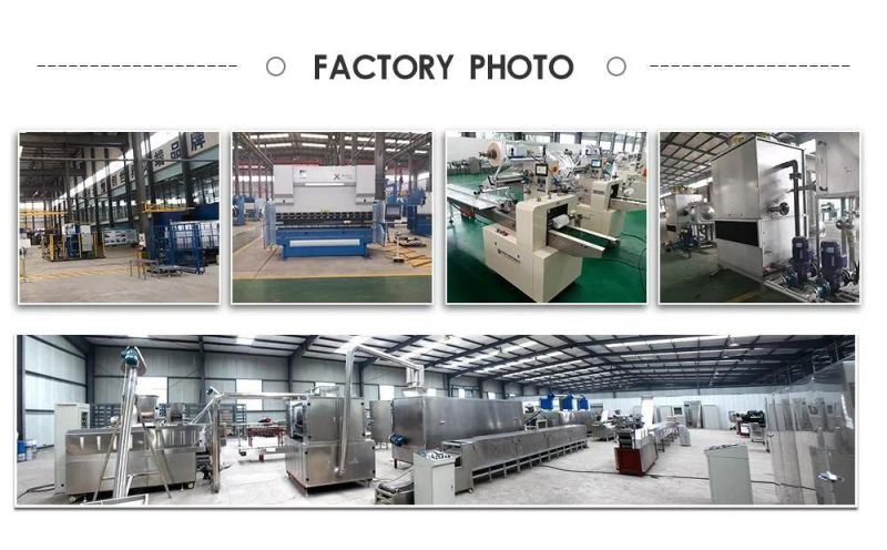 Sandwich Biscuit Making Machine Biscuit Production Line Automatic Soft and Hard Biscuit Machine