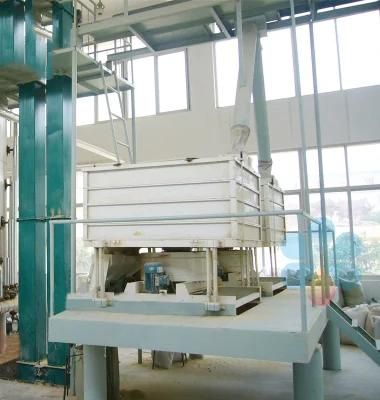 Automatic Crude Cold Press Rice Bran Oil Extruder Mill Solvent Extraction Plant Machine