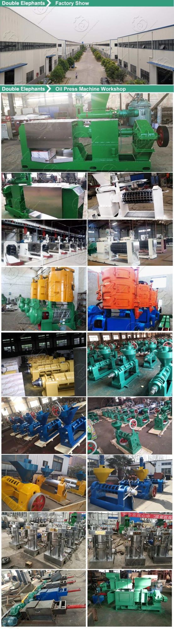 1-20ton/H Thailand Palm Fruit Oil Extraction Processing Palm Oil Press Machine