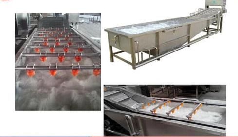 Multi Functional Fruit / Vegetable Washing Machine / Air Bubble / Hairbrush