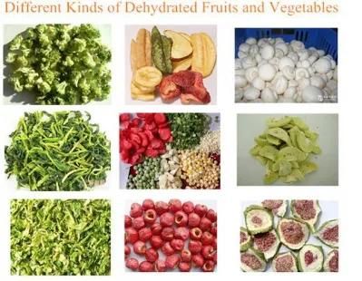 Automatic Customized Fruit Vegetable Ginger Garlic Onion Slice Drying Line