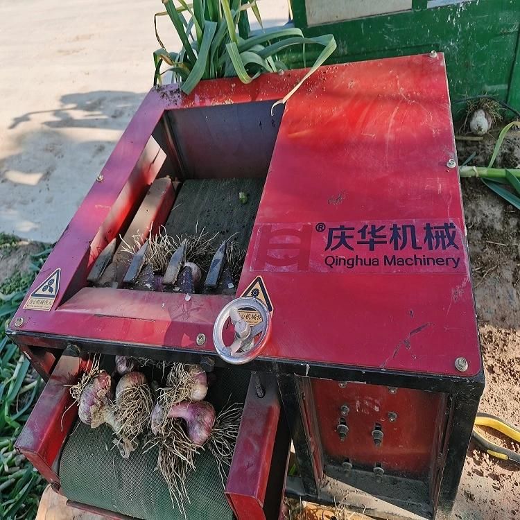 High Efficiency Small Household Electric Garlic Cutting Machine with Output of 500kg / H