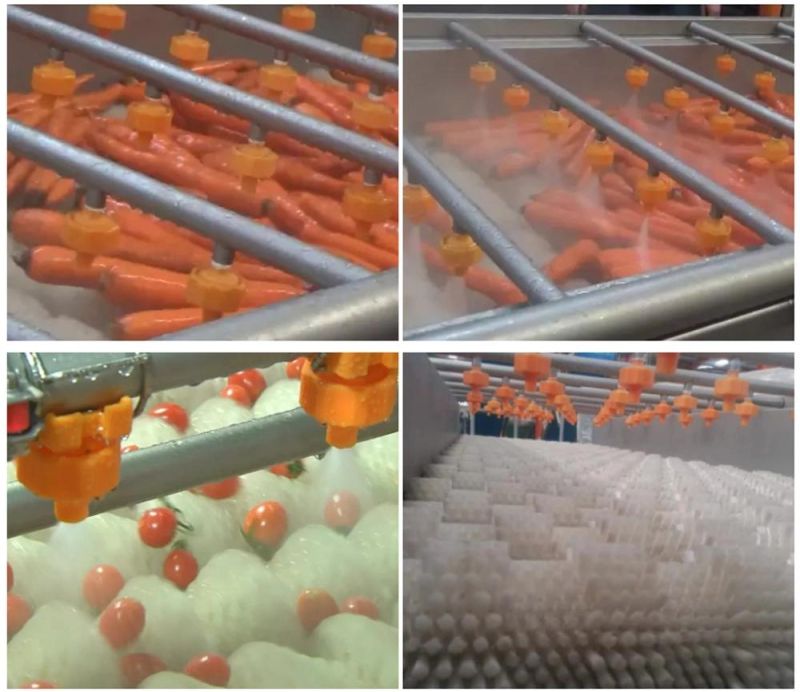 Manufacturer Supply Industrial Professional Technical Herbs/Potato/Carrot/ Ginger Washing Machine