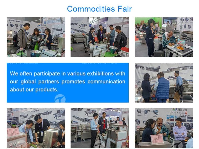 Citrus Apple Orange Passion Fruit Cleaning Air Drying Sorting Production Line Food Processing Equipment Machine