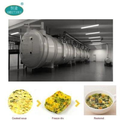 Lyophilizer Freeze Drying Machine Cooked Soup Freeze Dryer
