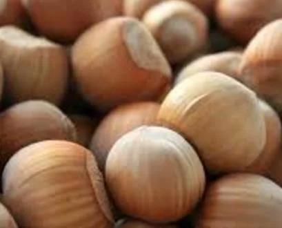 Food Processing Blancher Equipment Hazelnut Steam Blanching Machine