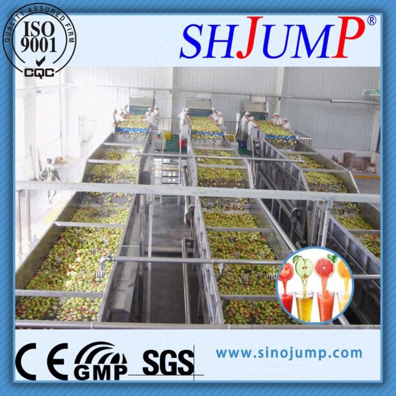 Fruit Juice Concentration Processing Line